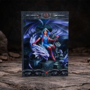 Dragon Mage Journal (AS) 17cm