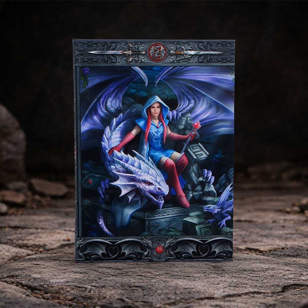 Dragon Mage Journal (AS) 17cm