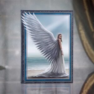 Spirit Guide Journal (AS) 17cm