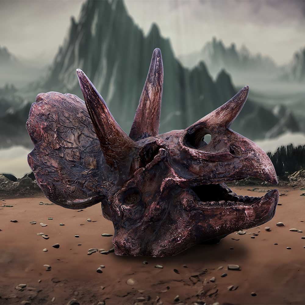 Triceratops Skull 14.5cm