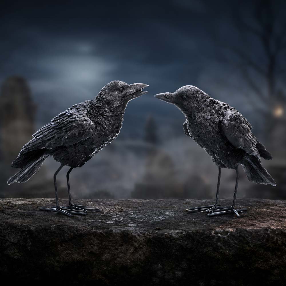 Watchful Pair (Set of 2) 13.9cm