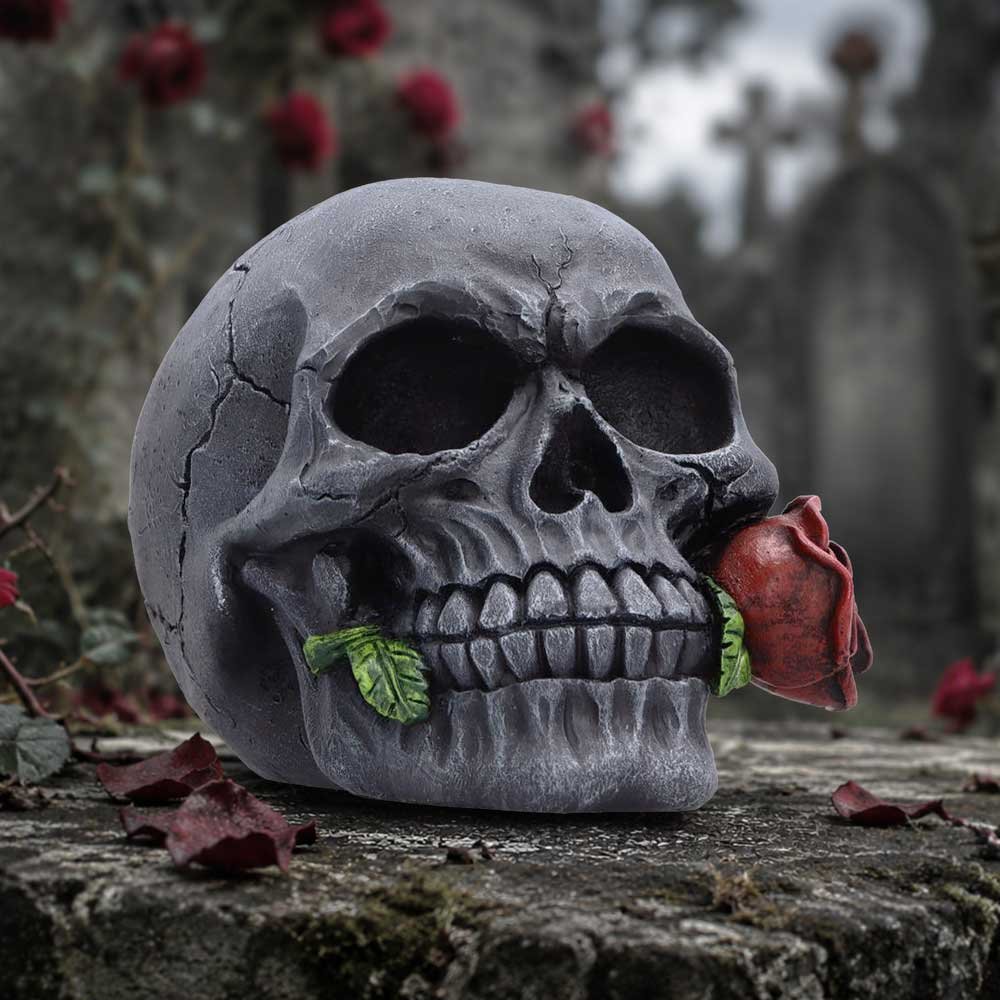 The Last Rose (Pack of 2) 8.7cm